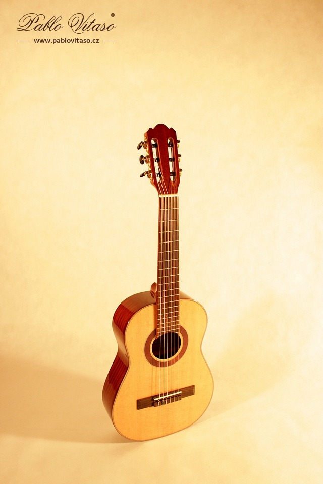 Pablo Vitaso VCG-15 Elev