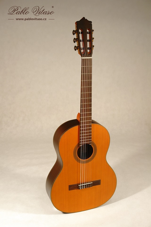 Pablo Vitaso VM-50C Senorita