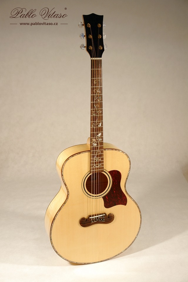 Pablo Vitaso VSG-100S