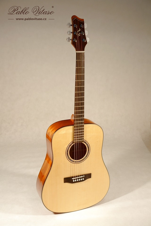 Pablo Vitaso VSG-120S