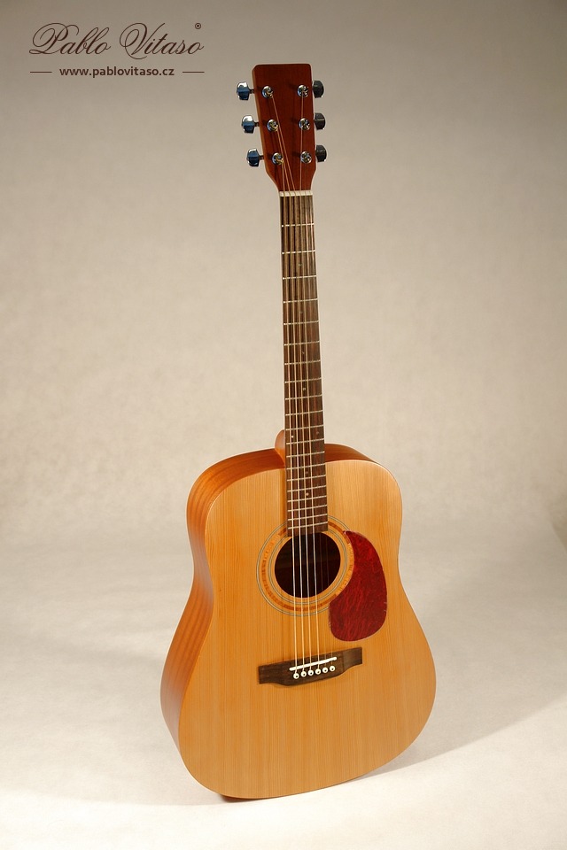 Pablo Vitaso VSG-50C