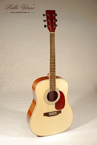 Pablo Vitaso VSG-20S